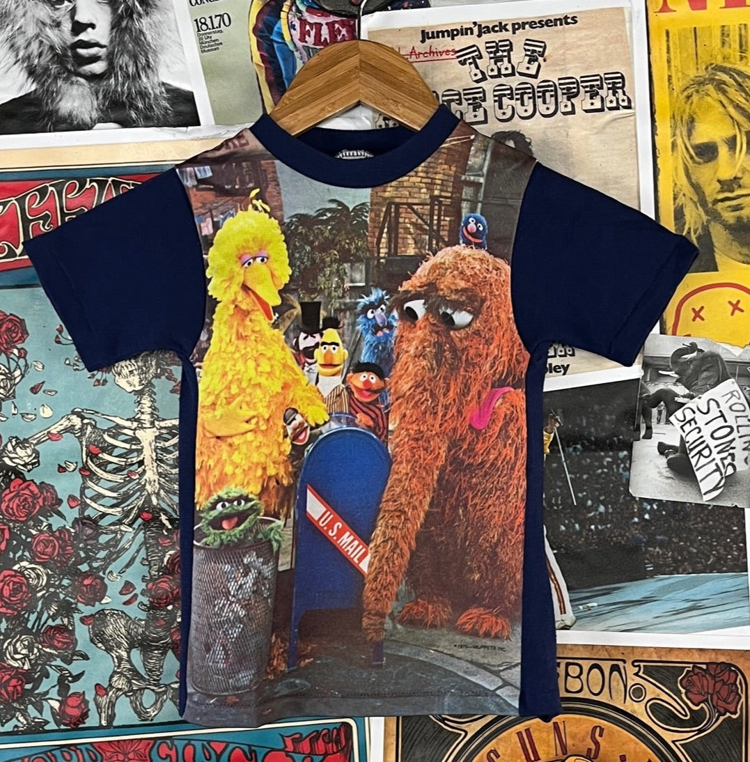 Super cool toddler kids vintage 70s-80s blue multi-color short sleeve single stitch Sesame Street muppet characters&nbsp;Snuffleupagus, Big Bird, Oscar the Grouch, Bert and Ernie, Grover, Herry Monster cartoon graphic crewneck ringer t-shirt by JCPenney. Tagged kids size 6/7, but we estimate it to fit kids size 3T-4T. Please check measurements as this is an estimate. American television pop culture!